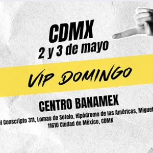 CDMX VIP DOMINGO