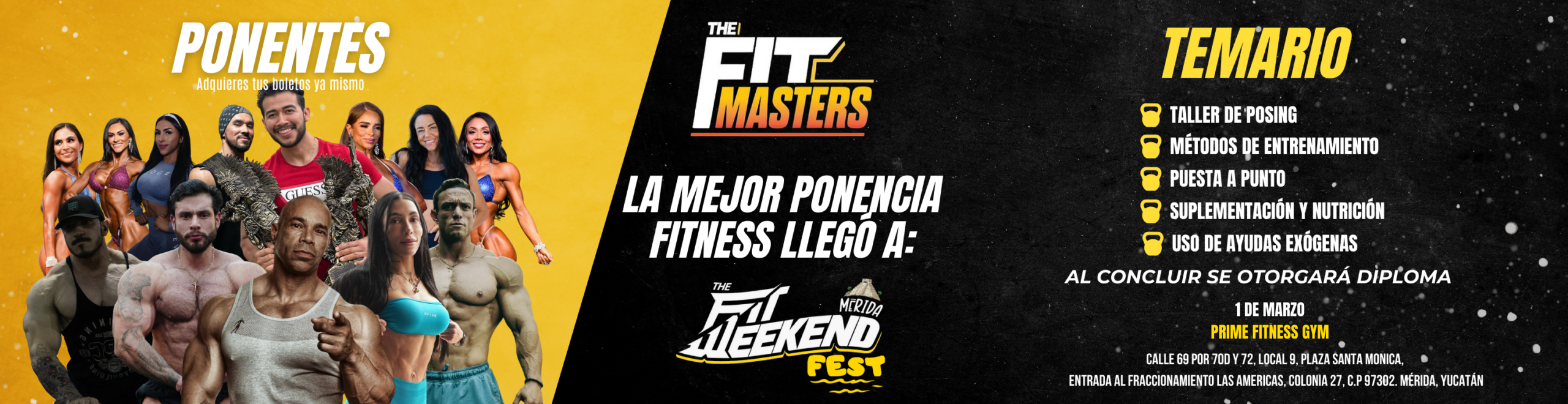 BANNER THE FIT MASTERS FINAL