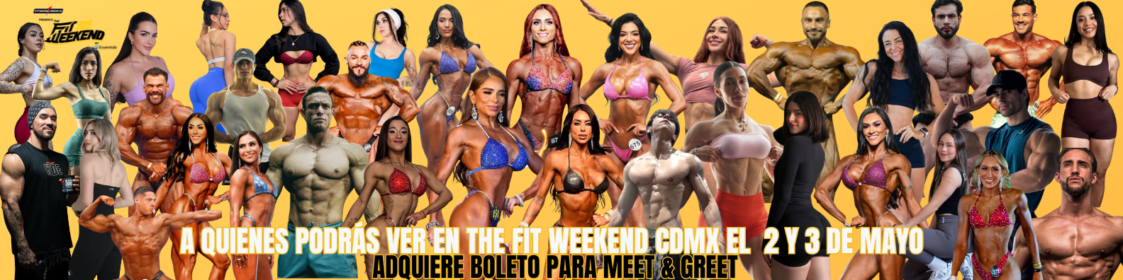 tfw boletos Banner (1)